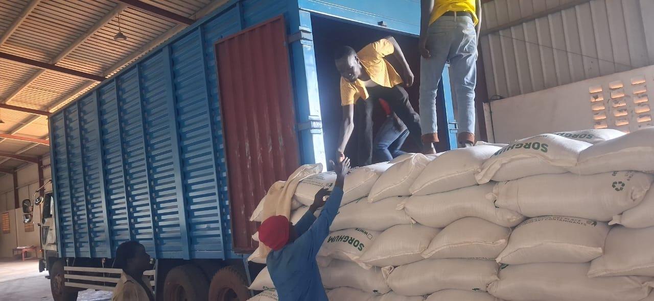 Structured sorghum markets